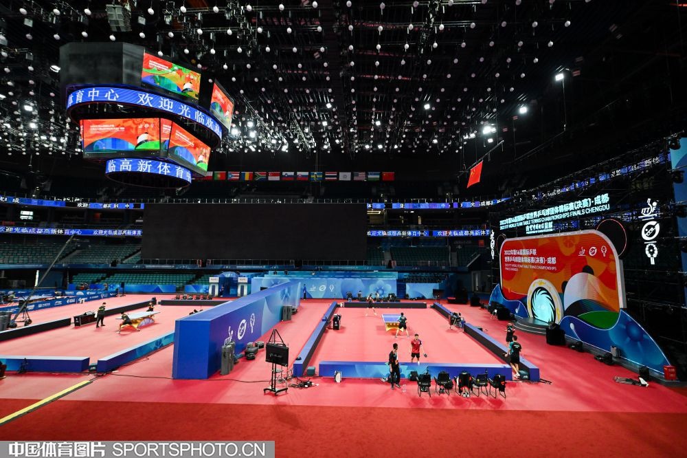 什么是“期望效用理论”的崩塌？解析为何人在巨额亏损后会选择自毁。（当期望效用理论失灵：为何巨额亏损会诱发自我毁灭式决策）